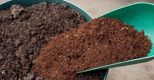 Comprehensive Guide: 102 - Organic Soil Requirements