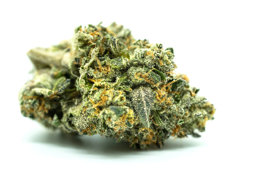 LGBTQ cannabis bud