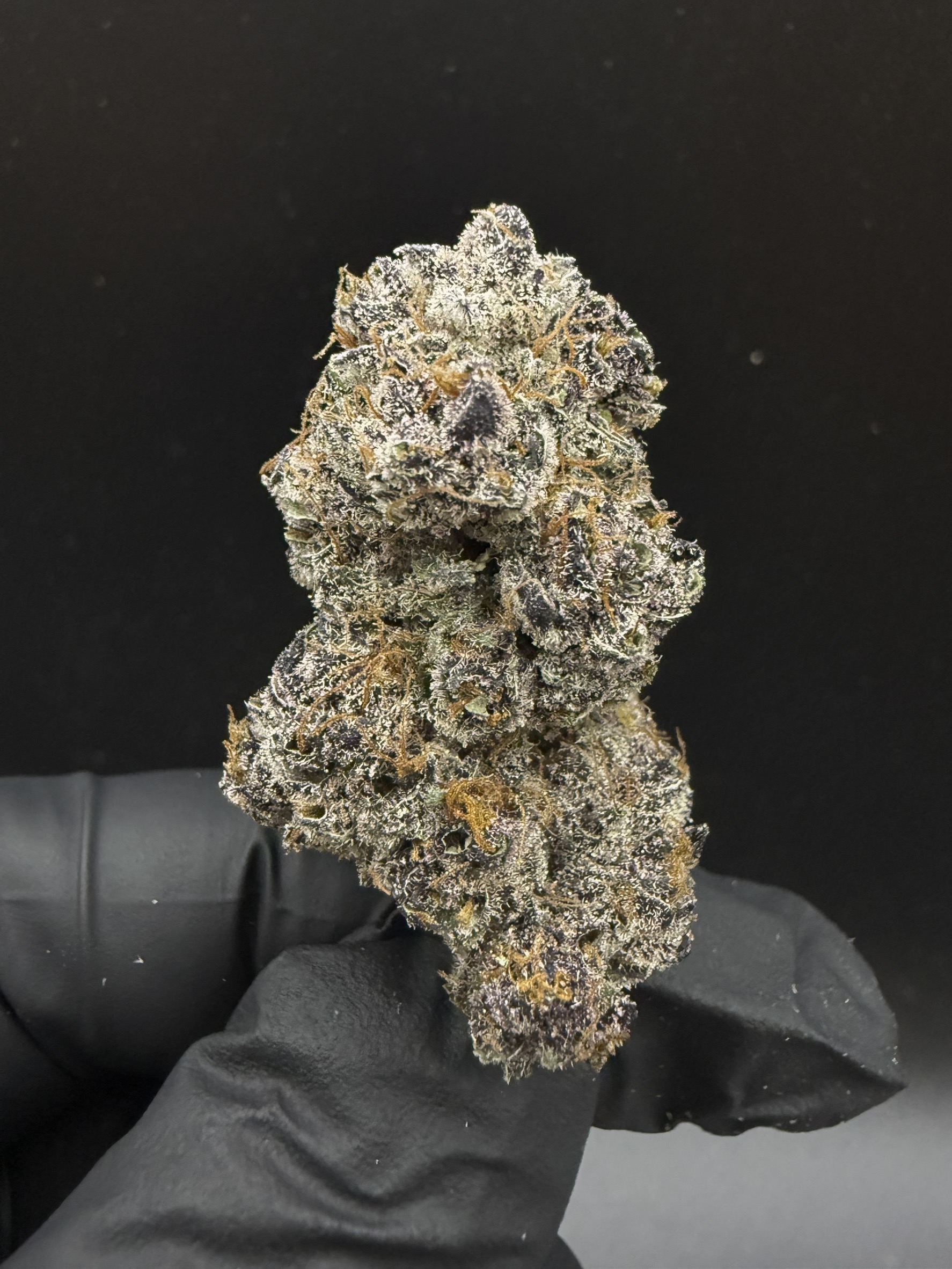 Red Oreos cannabis bud